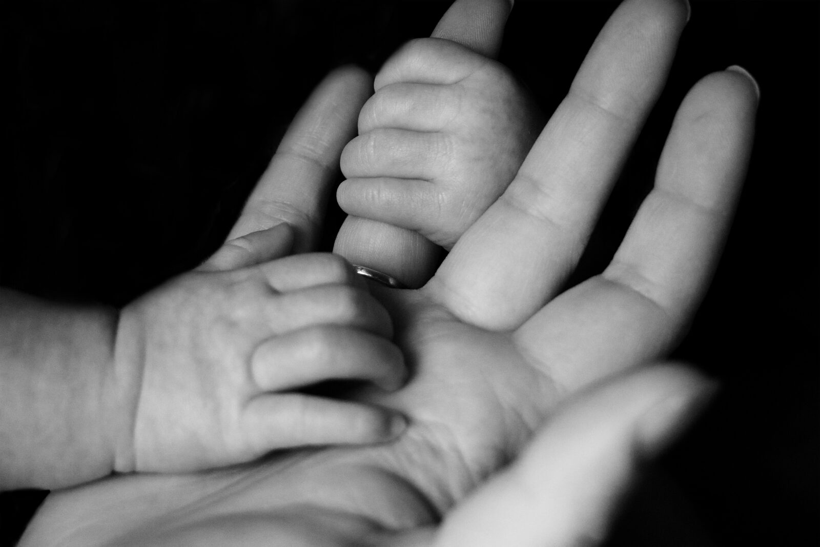 Mano de bebé sujeta con ternura por la mano adulta, en blanco y negro